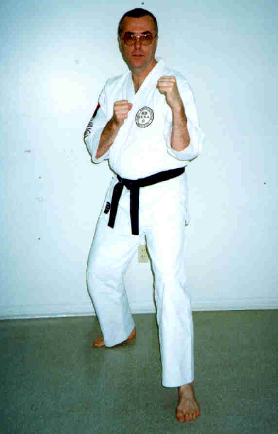 Sensei Lou - Sparring Stance